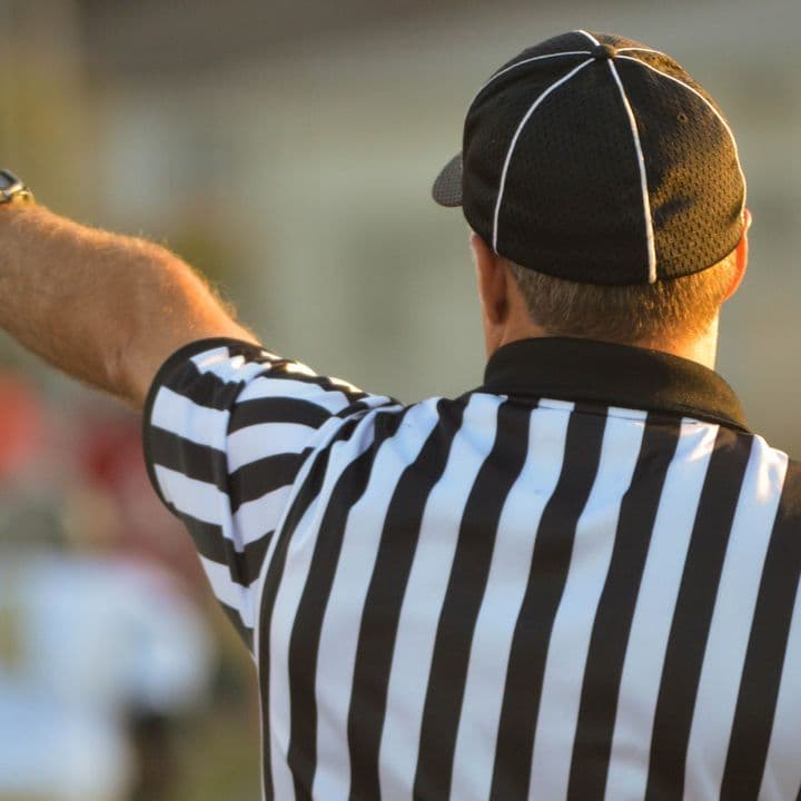 Rear shot of a baseball referee pointing to the left